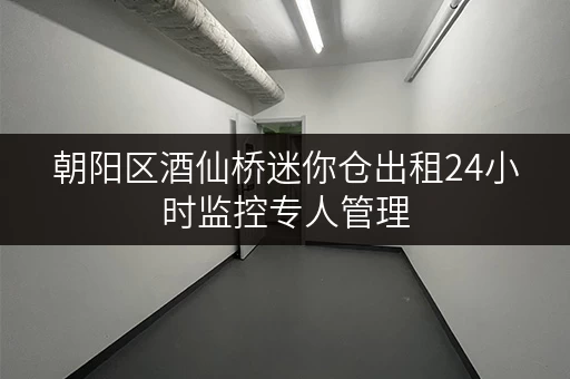 朝阳区酒仙桥迷你仓出租24小时监控专人管理 朝阳区酒仙桥迷你仓出租24小时监控专人管理