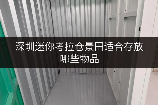 深圳迷你考拉仓景田适合存放哪些物品