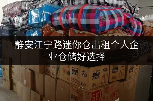 静安江宁路迷你仓出租个人企业仓储好选择