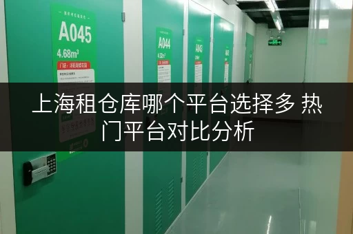上海租仓库哪个平台选择多 热门平台对比分析 上海租仓库哪个平台选择多 热门平台对比分析