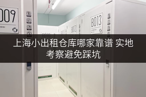 上海小出租仓库哪家靠谱 实地考察避免踩坑 上海小出租仓库哪家靠谱 实地考察避免踩坑