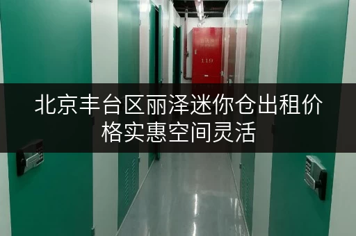 北京丰台区丽泽迷你仓出租价格实惠空间灵活
