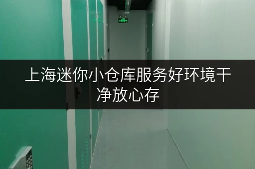 上海迷你小仓库服务好环境干净放心存 上海迷你小仓库服务好环境干净放心存