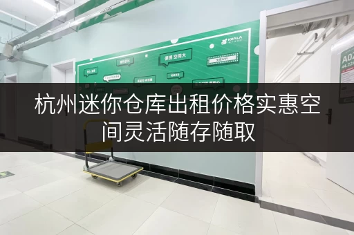 杭州迷你仓库出租价格实惠空间灵活随存随取
