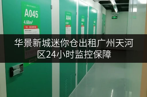 华景新城迷你仓出租广州天河区24小时监控保障