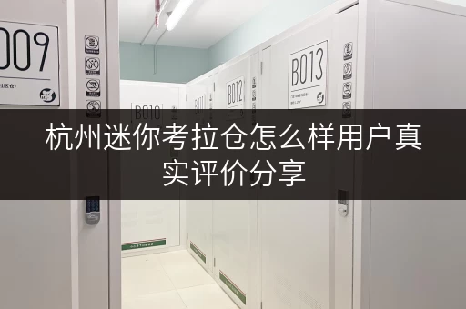 杭州迷你考拉仓怎么样用户真实评价分享