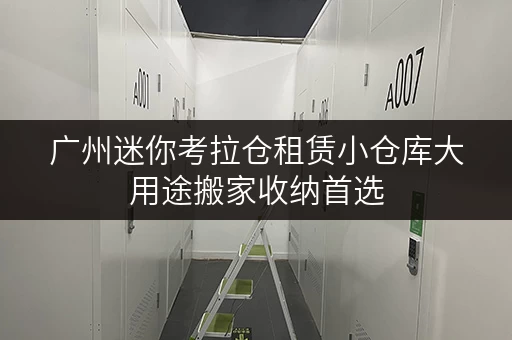 广州迷你考拉仓租赁小仓库大用途搬家收纳首选