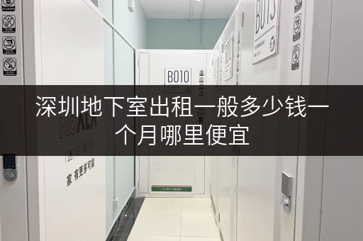 深圳地下室出租一般多少钱一个月哪里便宜 深圳地下室出租一般多少钱一个月哪里便宜