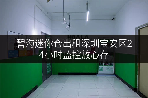 碧海迷你仓出租深圳宝安区24小时监控放心存
