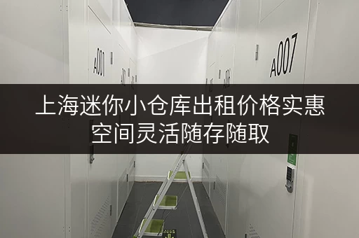 上海迷你小仓库出租价格实惠空间灵活随存随取 上海迷你小仓库出租价格实惠空间灵活随存随取