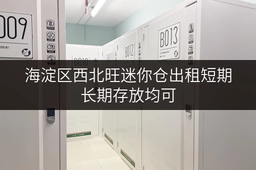 海淀区西北旺迷你仓出租短期长期存放均可 海淀区西北旺迷你仓出租短期长期存放均可