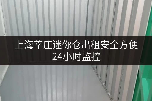 上海莘庄迷你仓出租安全方便24小时监控