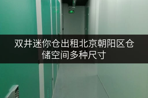 双井迷你仓出租北京朝阳区仓储空间多种尺寸 双井迷你仓出租北京朝阳区仓储空间多种尺寸