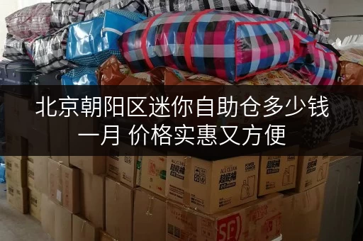 北京朝阳区迷你自助仓多少钱一月 价格实惠又方便
