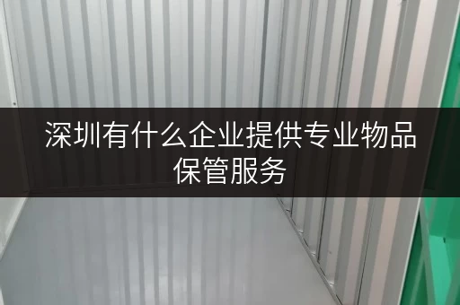 深圳有什么企业提供专业物品保管服务