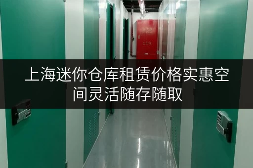 上海迷你仓库租赁价格实惠空间灵活随存随取