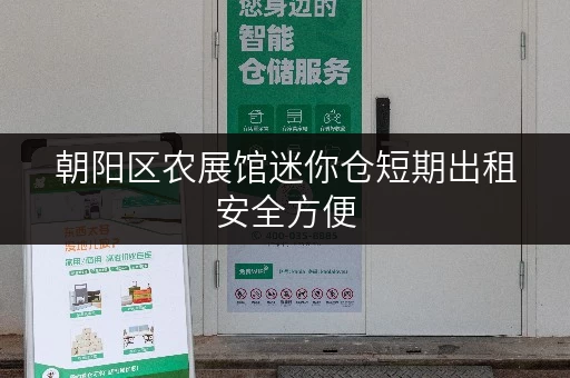 朝阳区农展馆迷你仓短期出租安全方便