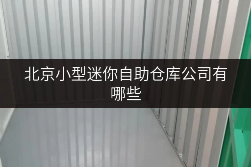 北京小型迷你自助仓库公司有哪些
