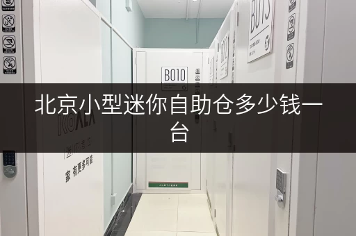 北京小型迷你自助仓多少钱一台