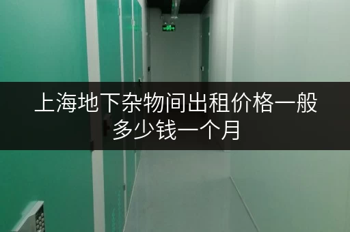 上海地下杂物间出租价格一般多少钱一个月 上海地下杂物间出租价格一般多少钱一个月