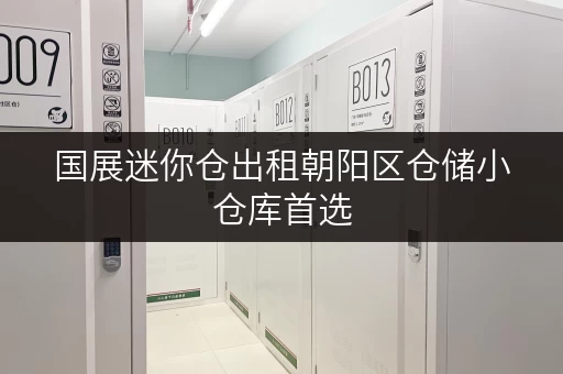 国展迷你仓出租朝阳区仓储小仓库首选 国展迷你仓出租朝阳区仓储小仓库首选