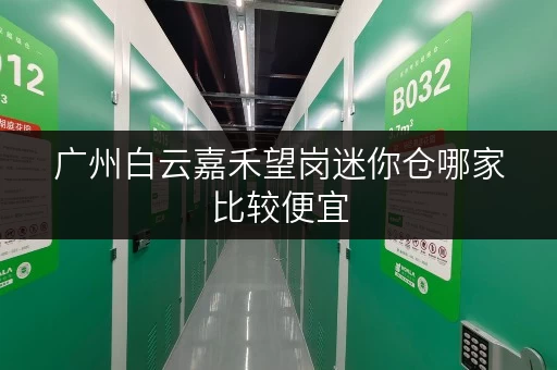 广州白云嘉禾望岗迷你仓哪家比较便宜