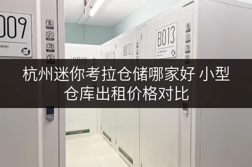 杭州迷你考拉仓储哪家好 小型仓库出租价格对比