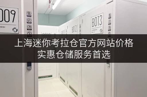 上海迷你考拉仓官方网站价格实惠仓储服务首选 上海迷你考拉仓官方网站价格实惠仓储服务首选