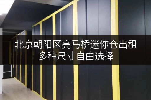 北京朝阳区亮马桥迷你仓出租多种尺寸自由选择