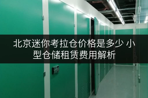北京迷你考拉仓价格是多少 小型仓储租赁费用解析