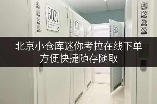 北京小仓库迷你考拉在线下单方便快捷随存随取 北京小仓库迷你考拉在线下单方便快捷随存随取