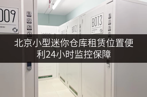 北京小型迷你仓库租赁位置便利24小时监控保障