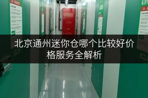 北京通州迷你仓哪个比较好价格服务全解析 北京通州迷你仓哪个比较好价格服务全解析