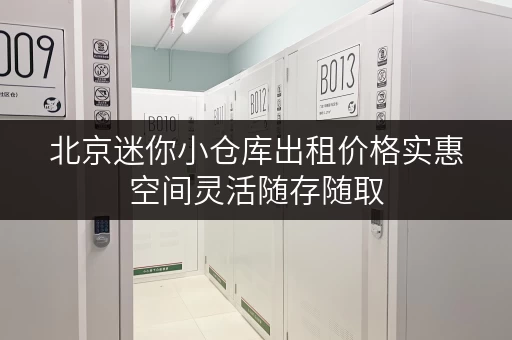 北京迷你小仓库出租价格实惠空间灵活随存随取 北京迷你小仓库出租价格实惠空间灵活随存随取