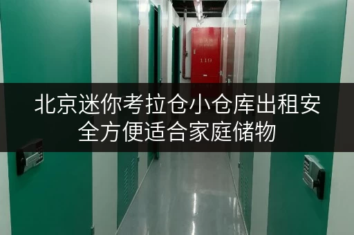 北京迷你考拉仓小仓库出租安全方便适合家庭储物 北京迷你考拉仓小仓库出租安全方便适合家庭储物
