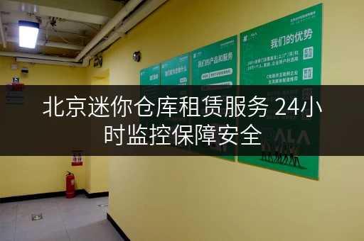 北京迷你仓库租赁服务 24小时监控保障安全 北京迷你仓库租赁服务 24小时监控保障安全