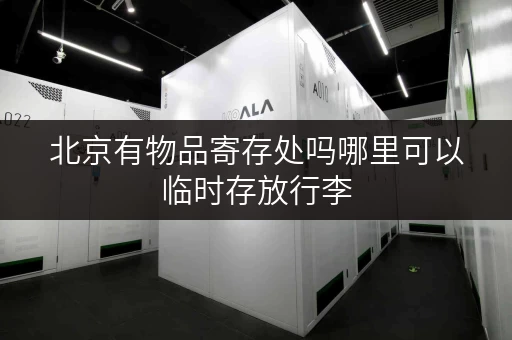 北京有物品寄存处吗哪里可以临时存放行李 北京有物品寄存处吗哪里可以临时存放行李