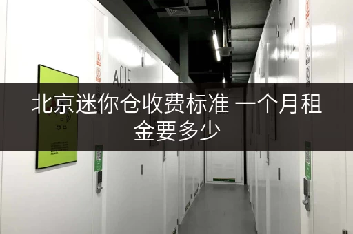 北京迷你仓收费标准 一个月租金要多少
