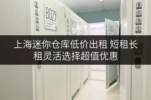 上海迷你仓库低价出租 短租长租灵活选择超值优惠