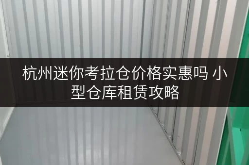 杭州迷你考拉仓价格实惠吗 小型仓库租赁攻略