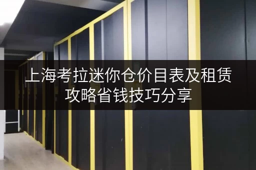 上海考拉迷你仓价目表及租赁攻略省钱技巧分享