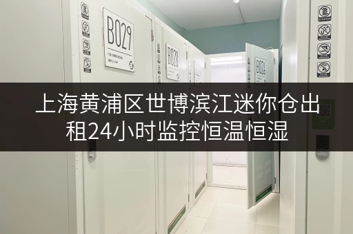上海黄浦区世博滨江迷你仓出租24小时监控恒温恒湿