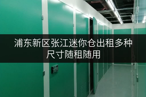 浦东新区张江迷你仓出租多种尺寸随租随用