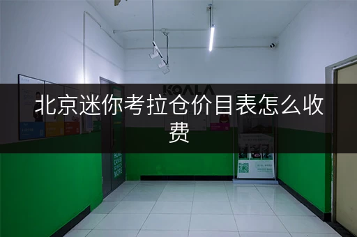 北京迷你考拉仓价目表怎么收费