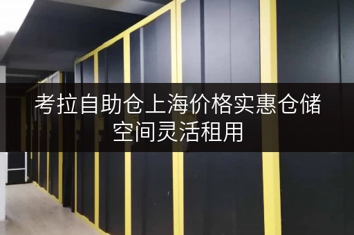 考拉自助仓上海价格实惠仓储空间灵活租用