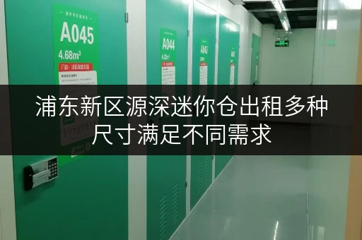 浦东新区源深迷你仓出租多种尺寸满足不同需求