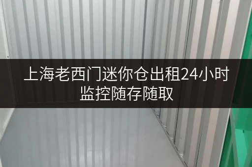 上海老西门迷你仓出租24小时监控随存随取
