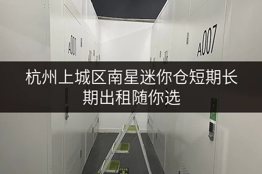 杭州上城区南星迷你仓短期长期出租随你选