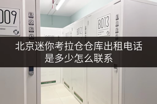 北京迷你考拉仓仓库出租电话是多少怎么联系