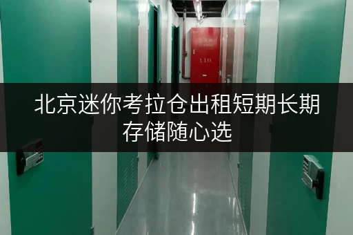 北京迷你考拉仓出租短期长期存储随心选